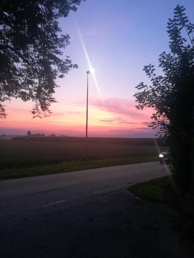 Borgo Dei Conti Della Torre Guest House Morsano al Tagliamento Ngoại thất bức ảnh
