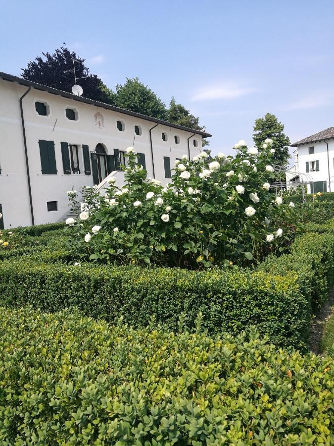 Borgo Dei Conti Della Torre Guest House Morsano al Tagliamento Ngoại thất bức ảnh