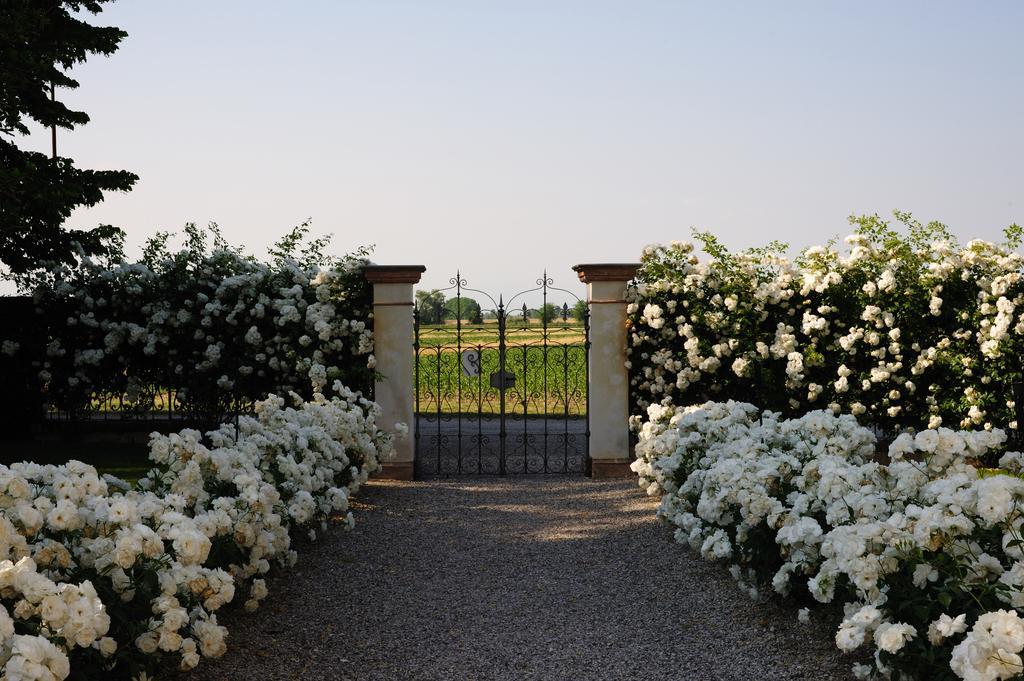 Borgo Dei Conti Della Torre Guest House Morsano al Tagliamento Ngoại thất bức ảnh