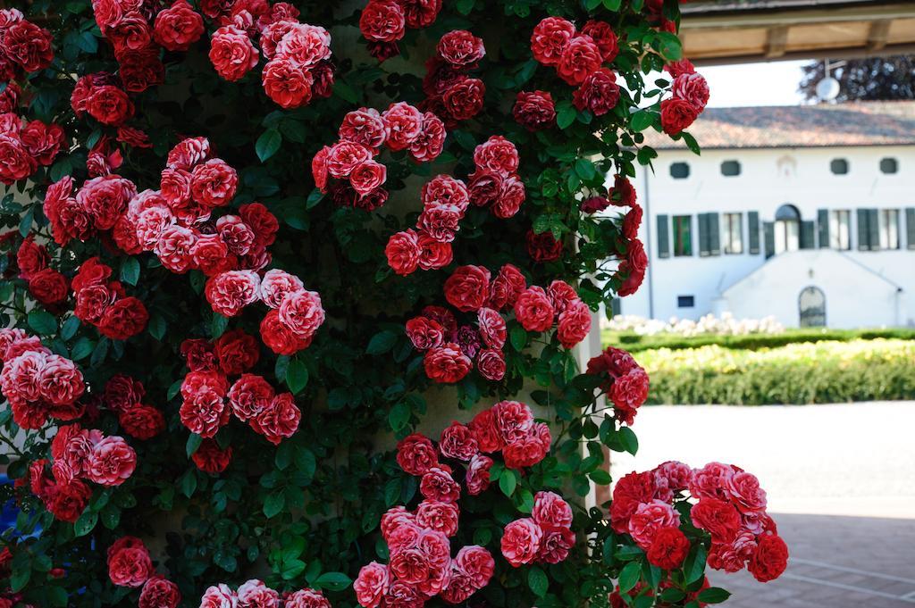 Borgo Dei Conti Della Torre Guest House Morsano al Tagliamento Ngoại thất bức ảnh